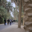 سوگواره پنجم-عکس 6-محمد عابدی-پیاده روی اربعین از نجف تا کربلا