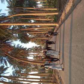 یازدهمین سوگواره عاشورایی عکس هیأت-محمد یعقوبی-بخش ویژه-پیاده‌روی اربعین حسینی(مجموعه عکس)