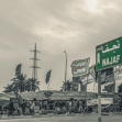 سوگواره پنجم-عکس 51-محمدرضا پارساکردآسیابی-پیاده روی اربعین از نجف تا کربلا