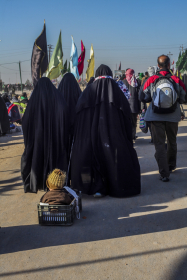 سوگواره سوم-عکس 12-محمدرضا پارساکردآسیابی-پیاده روی اربعین از نجف تا کربلا