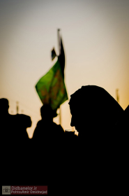 سوگواره سوم-عکس 36-امیر امیدنژاد-پیاده روی اربعین از نجف تا کربلا