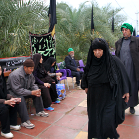 سوگواره پنجم-عکس 44-محمد شهبازی-پیاده روی اربعین از نجف تا کربلا