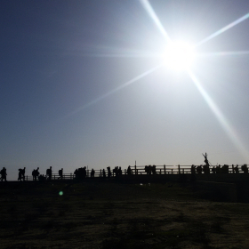 سوگواره سوم-عکس 2-علی شجاعی-پیاده روی اربعین از نجف تا کربلا