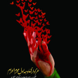 فراخوان ششمین سوگواره عاشورایی پوستر هیأت-مجتبی خاوری-بخش اصلی -پوسترهای محرم