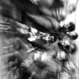 سوگواره دوم-عکس 1-مریم حسنی برچلویی-جلسه هیأت فضای بیرونی 