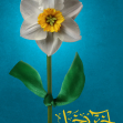 یازدهمین سوگواره عاشورایی پوستر هیأت-ابوالفضل کریمی-پوستر شیعی-عیدانه