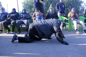 سوگواره دوم-عکس 3-محمد تقی نوروزی-پیاده روی اربعین از نجف تا کربلا