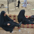 سوگواره پنجم-عکس 72-مهرداد  حسنی-پیاده روی اربعین از نجف تا کربلا