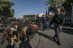 دوازدهمین سوگواره عاشورایی عکس هیأت-مجید خالقی مقدم-بخش اصلی روایت هیأت-تک عکس-هیأت و حاشیه مراسم هیأت