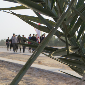 سوگواره سوم-عکس 2-مجید پناهی-پیاده روی اربعین از نجف تا کربلا