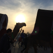 سوگواره سوم-عکس 13-امید عباسی-پیاده روی اربعین از نجف تا کربلا