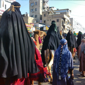 سوگواره سوم-عکس 19-امید عباسی-پیاده روی اربعین از نجف تا کربلا