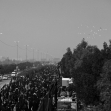 سوگواره چهارم-عکس 16-علی محمد غلامی-پیاده روی اربعین از نجف تا کربلا