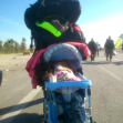 سوگواره سوم-عکس 29-حامد بیگلری-پیاده روی اربعین از نجف تا کربلا