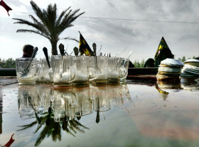 سوگواره پنجم-عکس 11-امیر چراغ ملایی-پیاده روی اربعین از نجف تا کربلا
