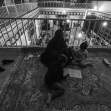 یازدهمین سوگواره عاشورایی عکس هیأت-علی  حسن زاده-بخش اصلی-روایت هیأت(تک عکس)