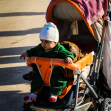 سوگواره چهارم-عکس 4-محمد رضا میثمی-پیاده روی اربعین از نجف تا کربلا