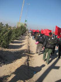 سوگواره دوم-عکس 120-محمد کشاورز-پیاده روی اربعین از نجف تا کربلا