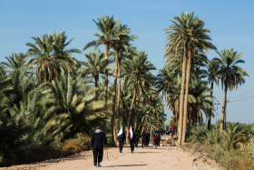 سوگواره پنجم-عکس 64-مرتضی امین الرعایایی-پیاده روی اربعین از نجف تا کربلا