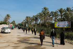 سوگواره پنجم-عکس 74-مرتضی امین الرعایایی-پیاده روی اربعین از نجف تا کربلا