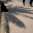 یازدهمین سوگواره عاشورایی عکس هیأت-حسین محبی-بخش ویژه-پیاده‌روی اربعین حسینی(تک عکس)