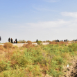 یازدهمین سوگواره عاشورایی عکس هیأت-محمدرضا ایزدی-بخش ویژه-پیاده‌روی اربعین حسینی(تک عکس)