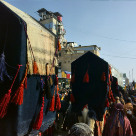سوگواره سوم-عکس 5-امید عباسی-پیاده روی اربعین از نجف تا کربلا