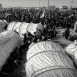 سوگواره سوم-عکس 48-حسین استوار -پیاده روی اربعین از نجف تا کربلا