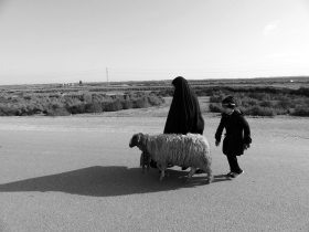 سوگواره دوم-عکس 3-سید علی اصغر حسینی-پیاده روی اربعین از نجف تا کربلا