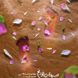دوازدهمین سوگواره عاشورایی پوستر هیأت-علی پیشدار-بخش اصلی پوستر اعلان هیأت-پوستر اعلان عیدانه