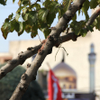 فراخوان ششمین سوگواره عاشورایی عکس هیأت-محمد حسین صفری رودبار-بخش اصلی -جلسه هیأت
