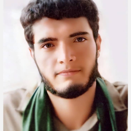 محمد مهدی   هادی پور