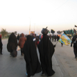 سوگواره دوم-عکس 131-محمد کشاورز-پیاده روی اربعین از نجف تا کربلا