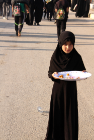 یازدهمین سوگواره عاشورایی عکس هیأت-محمد شهبازی-بخش ویژه-پیاده‌روی اربعین حسینی(تک عکس)