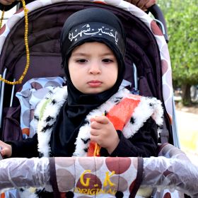 سوگواره پنجم-عکس 19-محمد حسین صادقی-پیاده روی اربعین از نجف تا کربلا