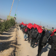 سوگواره دوم-عکس 54-محمد کشاورز-پیاده روی اربعین از نجف تا کربلا
